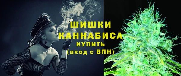 спайс Гусь-Хрустальный