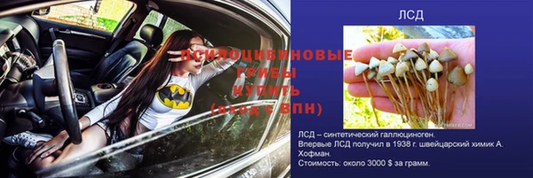 ешки Магас