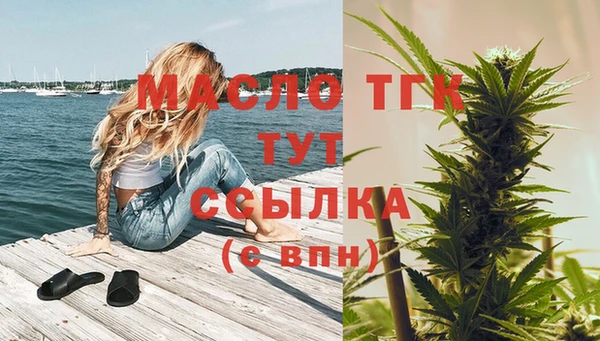 спайс Гусь-Хрустальный